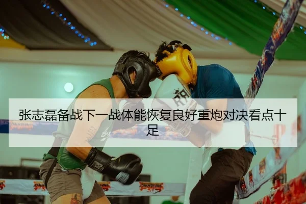 张志磊备战下一战体能恢复良好重炮对决看点十足